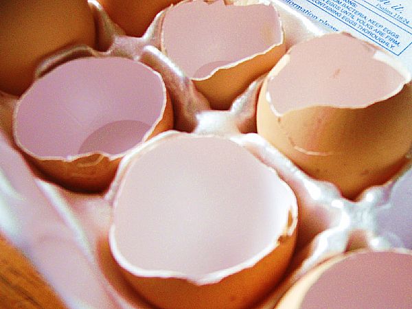 5 čudežih uporab jajčnih lupin